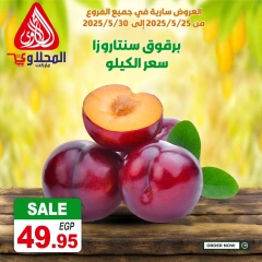Page 13 dans Offres fantastiques chez Marché El Mahlawy Egypte