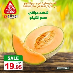 Page 6 dans Offres fantastiques chez Marché El Mahlawy Egypte
