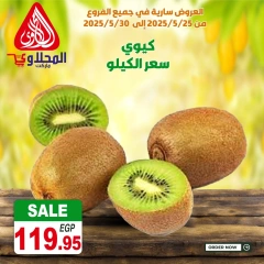 Page 9 dans Offres fantastiques chez Marché El Mahlawy Egypte