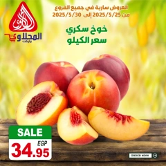 Page 10 dans Offres fantastiques chez Marché El Mahlawy Egypte