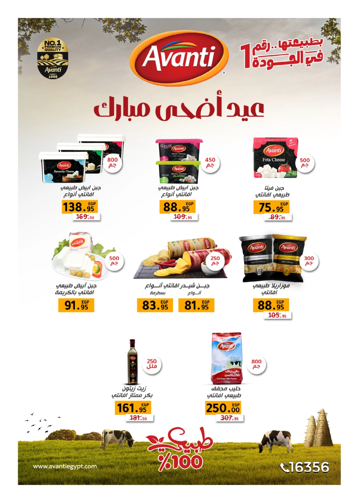 Page 146 in Anniversary Deals at Hyperone Egypt
