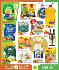 Página 5 |Mega Venta en Minimercado Kenz Katar