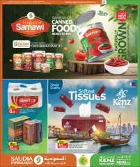 Página 14 |Mega Venta en Minimercado Kenz Katar