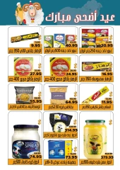 Page 21 dans Offres de l'Aïd Al Adha chez Marché Mekkawy Egypte