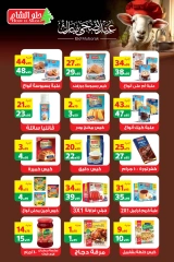 Page 22 dans Offres de l'Aïd Al Adha chez Marché Mekkawy Egypte