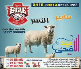Page 1 dans Offres de l'Aïd Al Adha chez Hyper Al Nisr Egypte