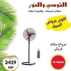 Page 3 dans Offres d'été chez Al Tawheed Welnour Egypte