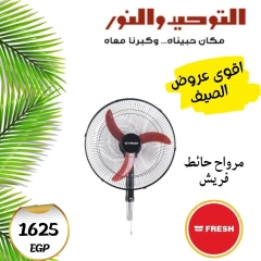 Page 9 dans Offres d'été chez Al Tawheed Welnour Egypte