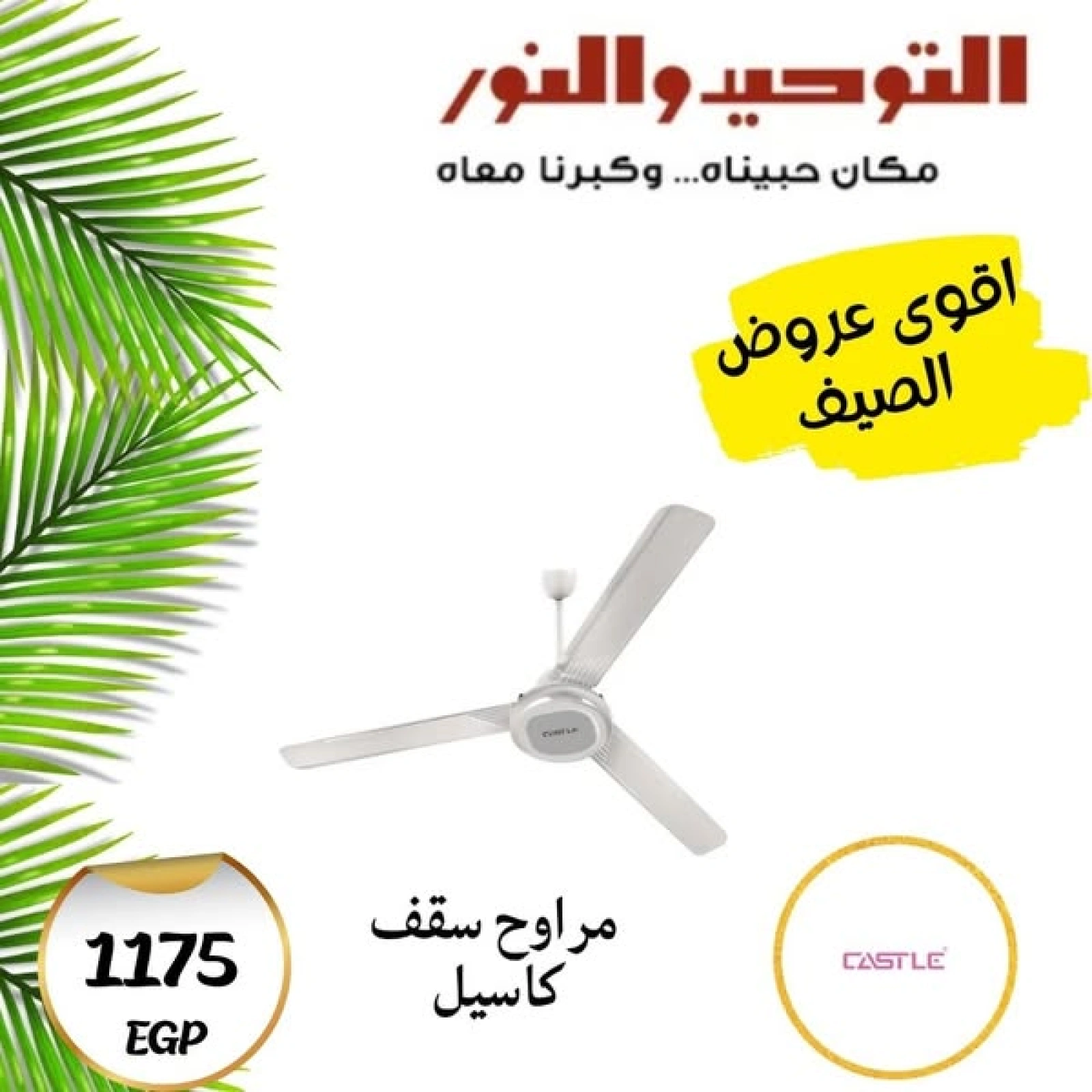 Page 11 dans Offres d'été chez Al Tawheed Welnour Egypte