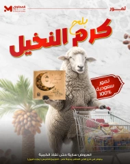 Page 1 dans Dates Offres chez El Mahlawy Egypte