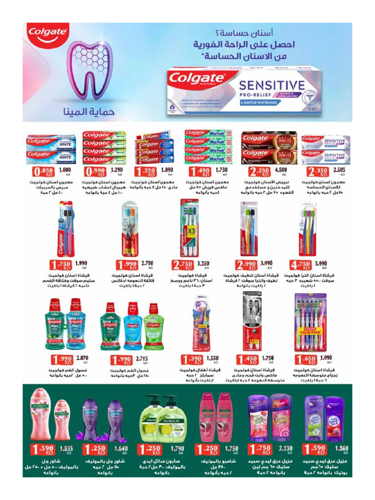Página 66 en ofertas de verano en Sociedad cooperativa Al-Rawda y Hawali Kuwait