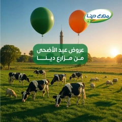 Page 1 dans Offres de l'Aïd Al Adha chez Fermes Dina Egypte