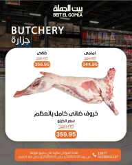 Page 6 dans Offres de la Viande chez Maison Gomla Egypte