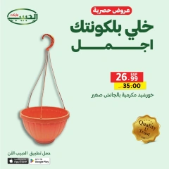 Page 9 dans Offres exclusives chez Marché Al Habeeb Egypte