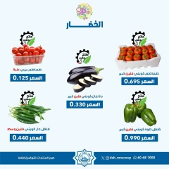 Page 2 in One day offers at Dah & Mns co-op Kuwait