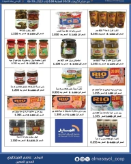 Page 29 |Summer and Eid Shows Festival at Al Masayel co-op Kuwait