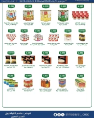 Page 23 |Summer and Eid Shows Festival at Al Masayel co-op Kuwait