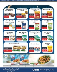 Page 18 |Summer and Eid Shows Festival at Al Masayel co-op Kuwait