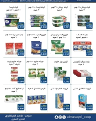 Page 13 |Summer and Eid Shows Festival at Al Masayel co-op Kuwait