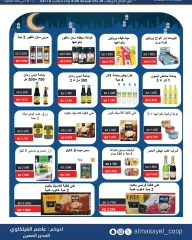 Page 17 |Summer and Eid Shows Festival at Al Masayel co-op Kuwait