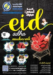 صفحة 1 ضمن عروض عيد أضحى مبارك في أولاد رجب مصر