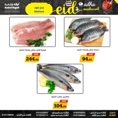 صفحة 8 ضمن عروض عيد أضحى مبارك في أولاد رجب مصر