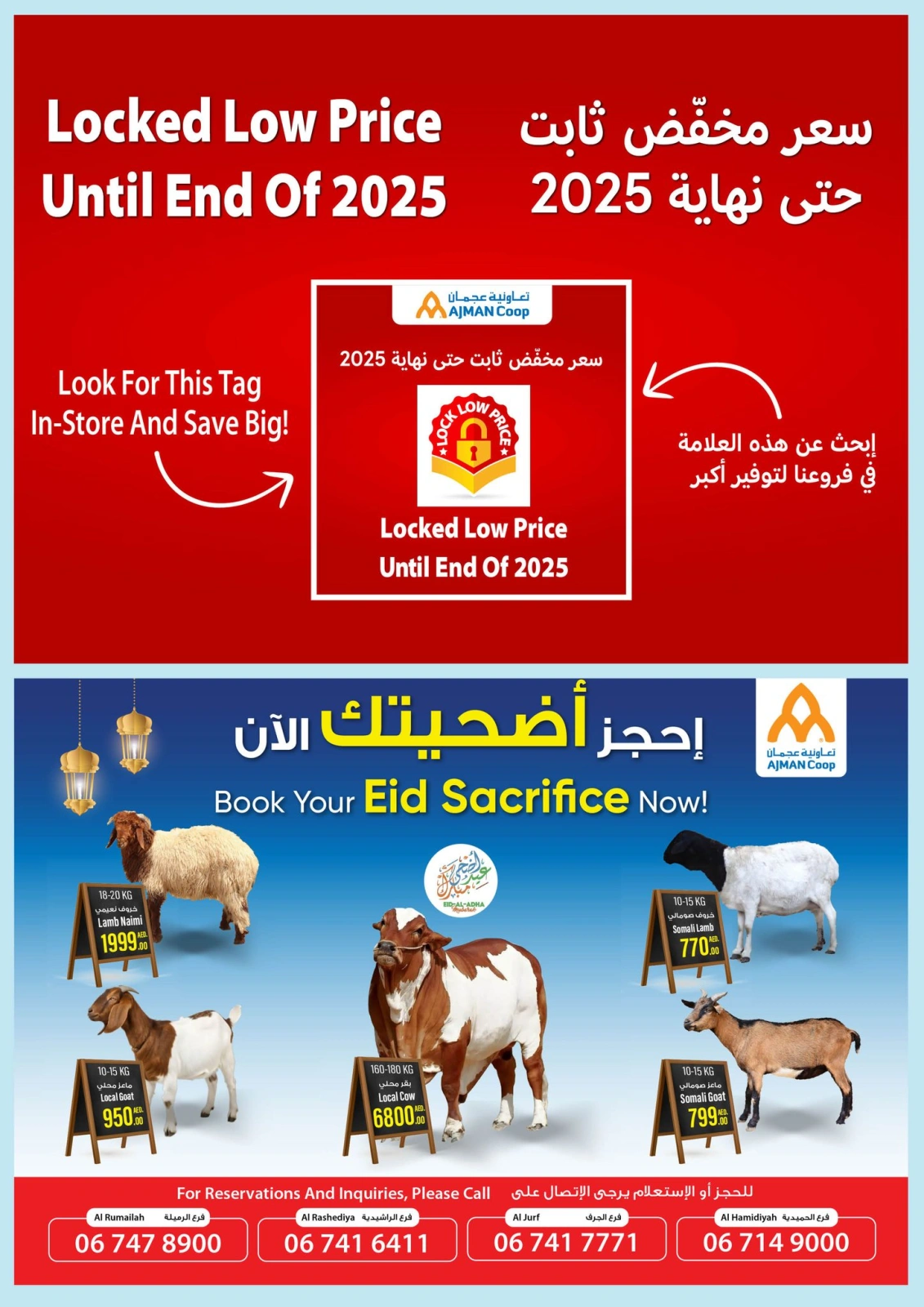 صفحة 5 ضمن عروض عيد أضحى مبارك في تعاونية عجمان الإمارات