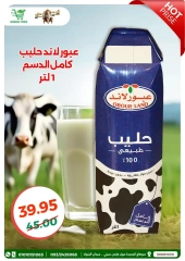 Page 24 dans Offres de l'Aïd Al Adha chez Green Tree Egypte
