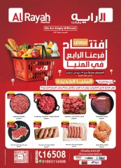 Página 1 en Ofertas de apertura en Mercado Al Rayah Egipto