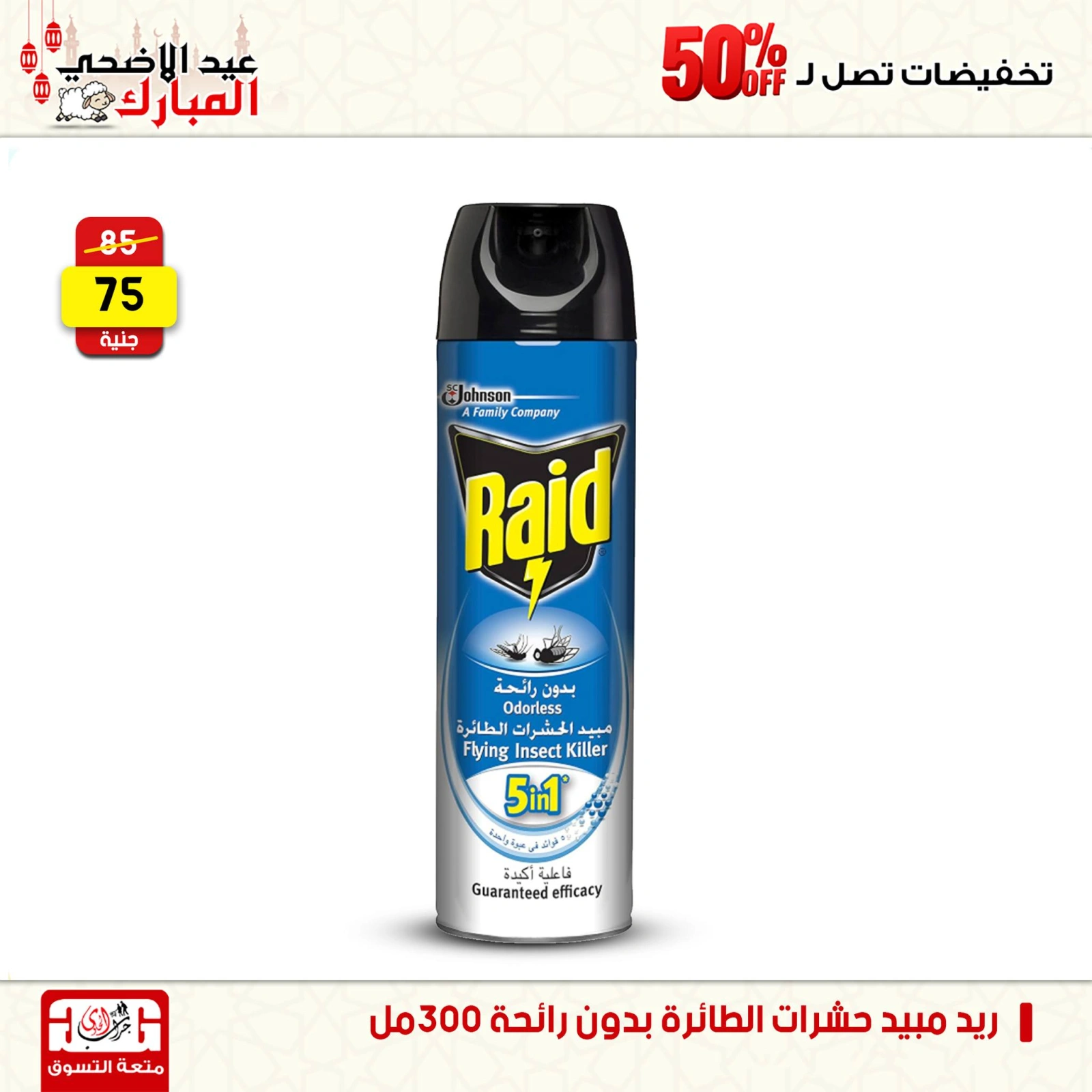 Page 46 dans Offres week-end chez Centre Jerab Al Hawi Egypte