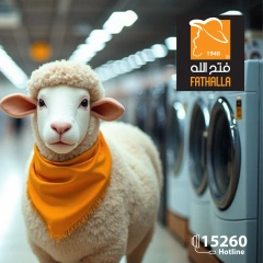 Página 1 en Ofertas para el hogar en Mercado de Fathallah Egipto