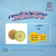 Página 7 en Ofertas de fin de semana en Mercado de excepción Egipto