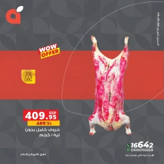 Page 3 dans Offres de viande chez Panda Egypte