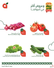 Page 2 in Sunday Special Deals at Panda Saudi Arabia
