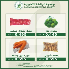 Page 4 |Vegetable and fruit offers at Garnata co-op Kuwait