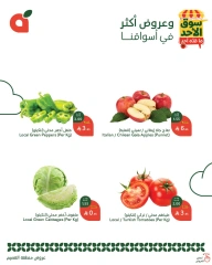 Page 2 dans Offres du marché du dimanche chez Panda Arabie Saoudite
