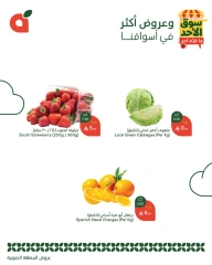 Página 3 en Ofertas del mercado dominical en Panda Arabia Saudita