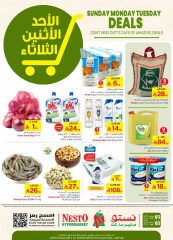 Page 1 dans Meilleures offres chez Nesto Arabie Saoudite