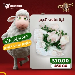 Page 7 dans Offres de viande chez Green Tree Egypte
