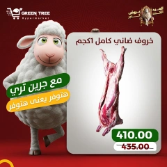 Page 2 dans Offres de viande chez Green Tree Egypte