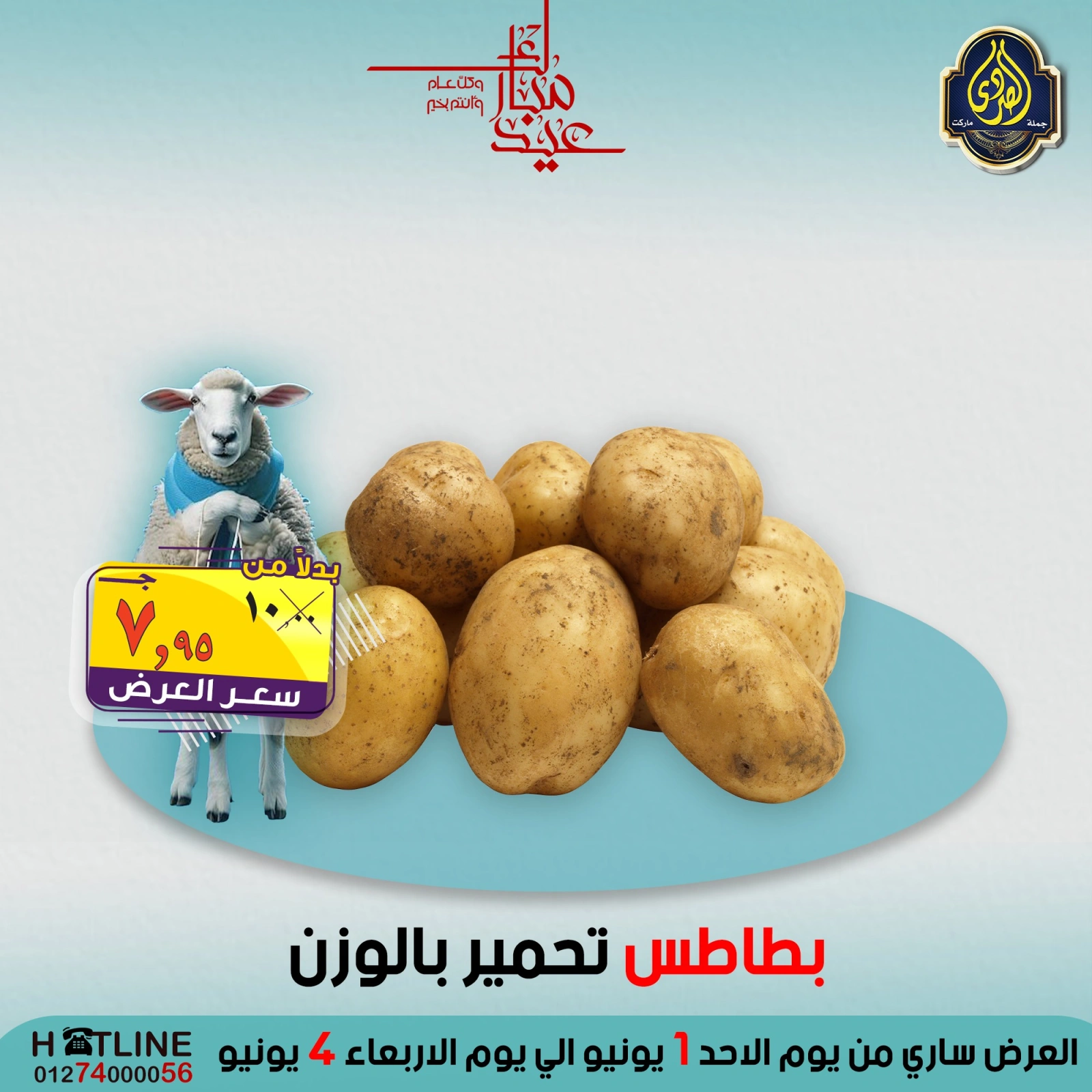 صفحة 43 ضمن عروض عيد الأضحى في الصردى جملة ماركت مصر