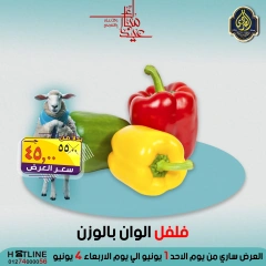 صفحة 41 ضمن عروض عيد الأضحى في الصردى جملة ماركت مصر