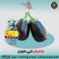صفحة 45 ضمن عروض عيد الأضحى في الصردى جملة ماركت مصر