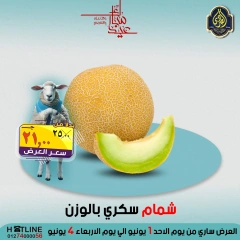 صفحة 42 ضمن عروض عيد الأضحى في الصردى جملة ماركت مصر