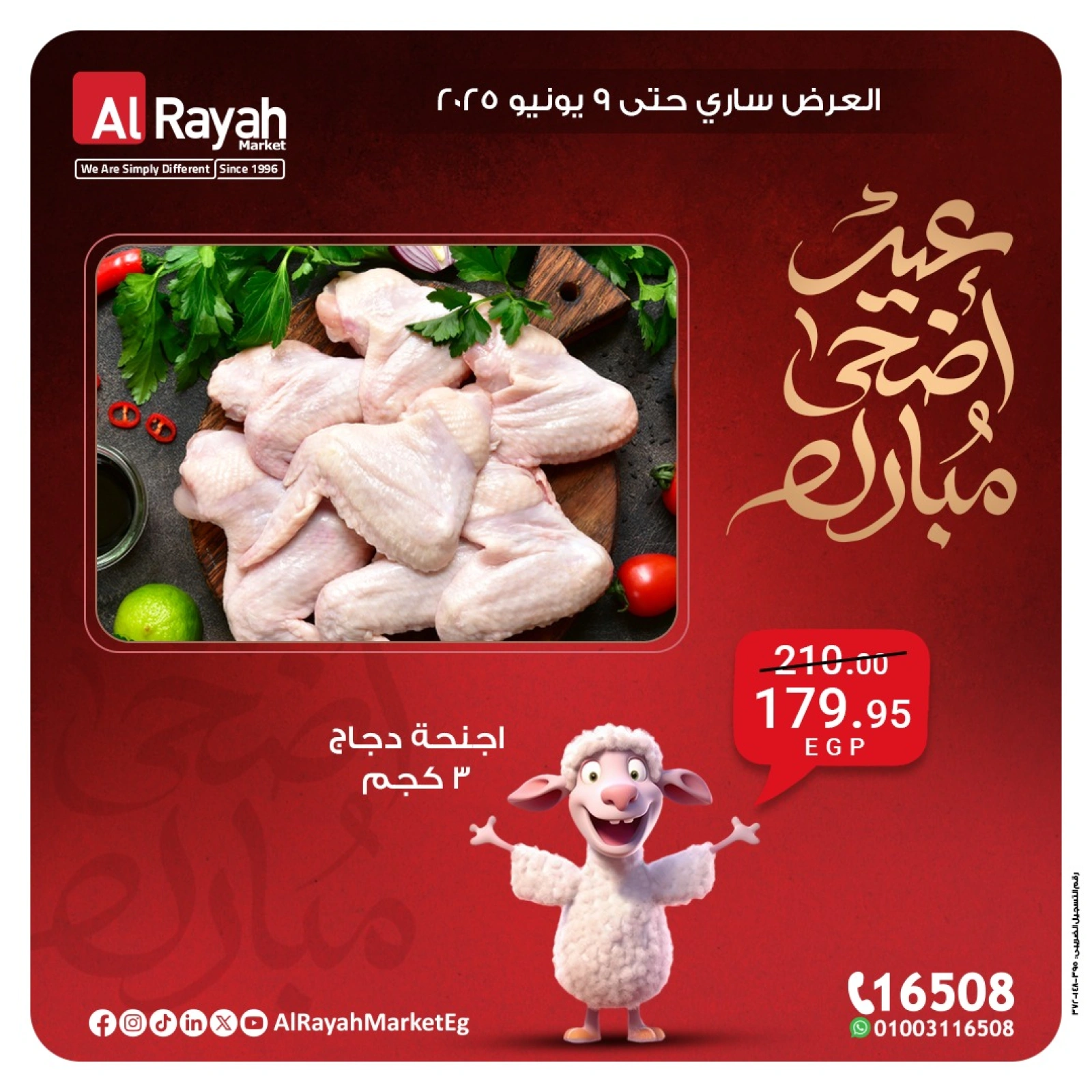 Página 9 en Ofertas Eid Al Adha en Mercado Al Rayah Egipto