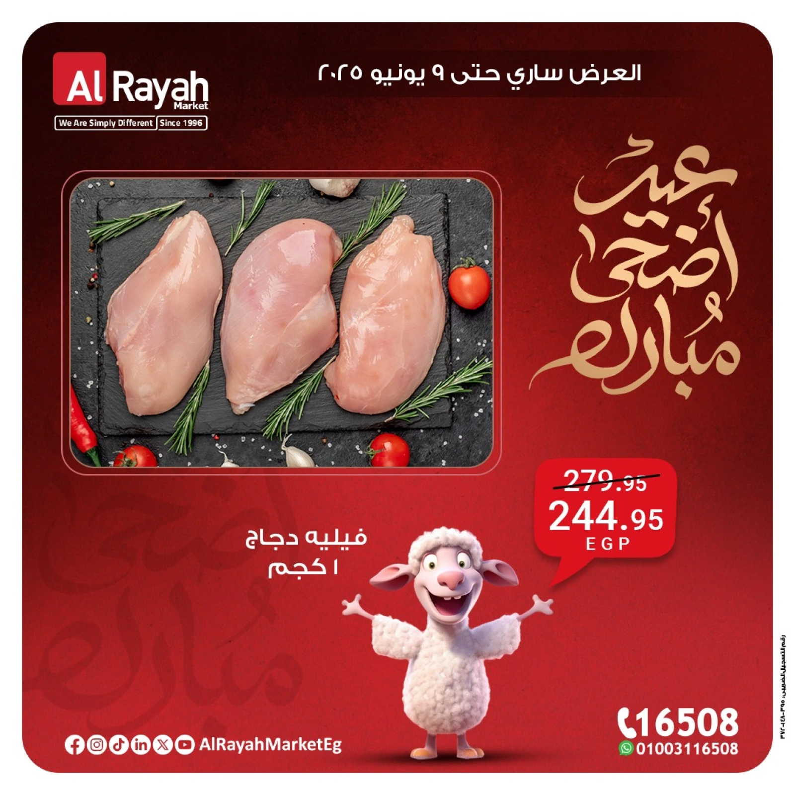 Página 8 en Ofertas Eid Al Adha en Mercado Al Rayah Egipto