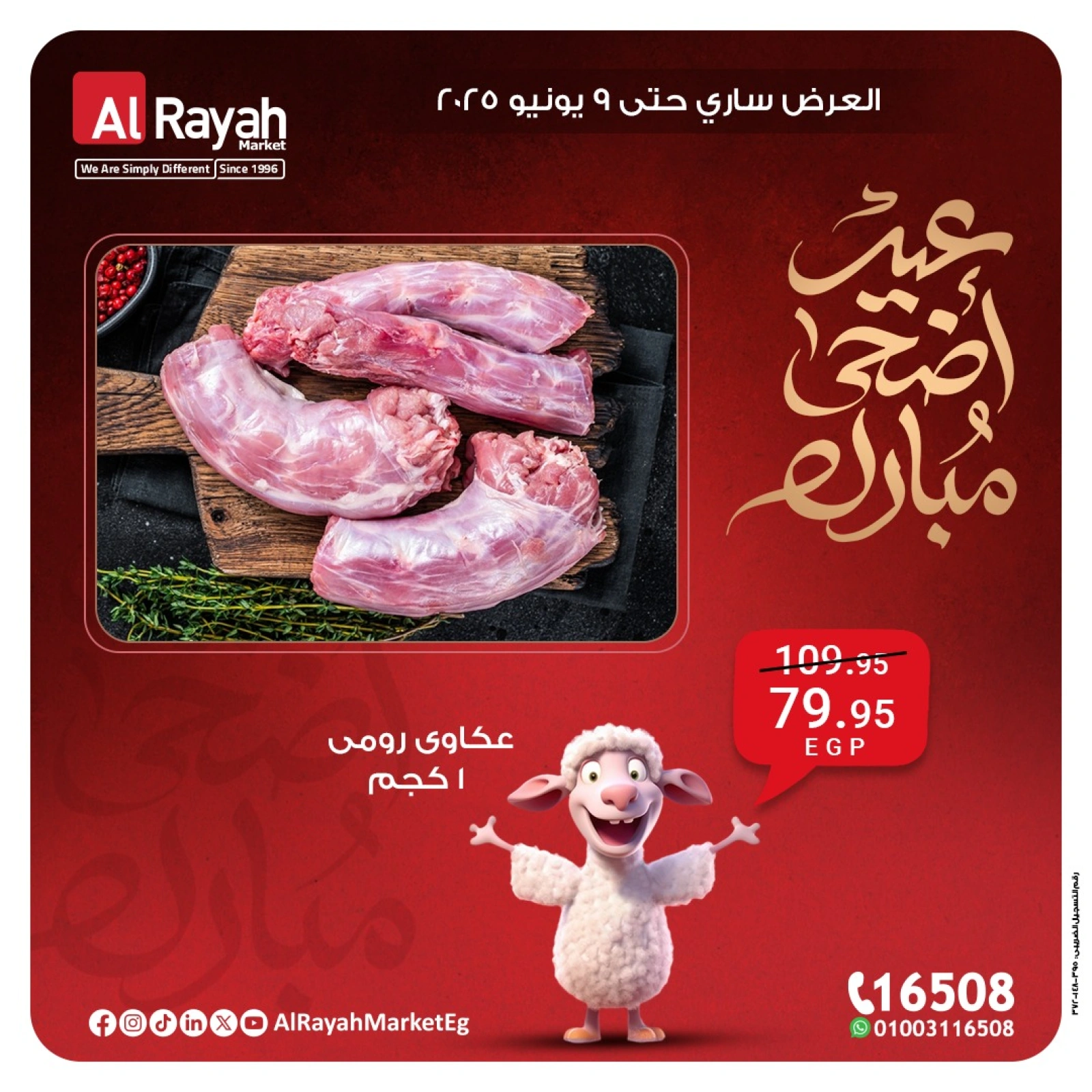 Página 7 en Ofertas Eid Al Adha en Mercado Al Rayah Egipto