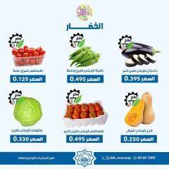 Page 2 in Vegetable and fruit offers at Dah & Mns co-op Kuwait