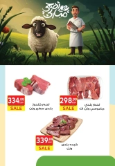 صفحة 1 ضمن عروض عيد الأضحى في هايبر الشرقية مصر
