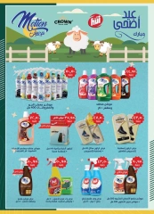 Page 35 in Eid Al Adha offers at Spinneys Egypt